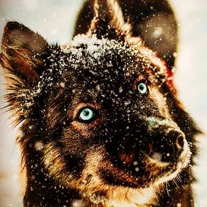 Meet your Posher, Karay